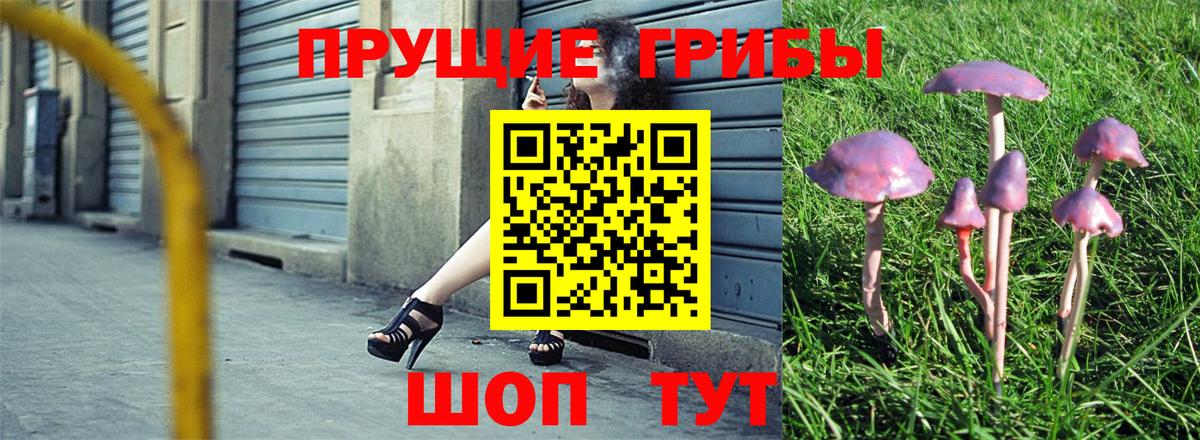 Галлюциногенные грибы GOLDEN TEACHER Семёнов