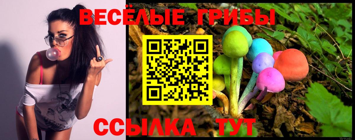Псилоцибиновые грибы Magic Shrooms  Галлюциногенные грибы прущие грибы  Вход с VPN  Семёнов 