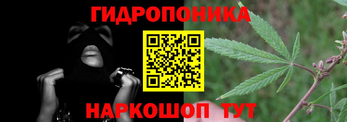 Каннабис тримм  Шишки марихуана AK-47  Семёнов  Шишки марихуана тримм  Вход с VPN 